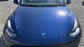 2022 Tesla Motors Others