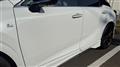 2025 Lexus RX