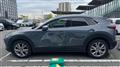2019 Mazda Eunos Others