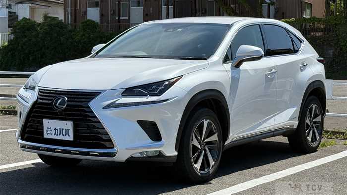2019 Lexus NX