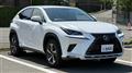 2019 Lexus NX