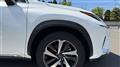 2019 Lexus NX