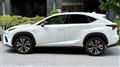2021 Lexus NX