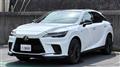 2025 Lexus RX