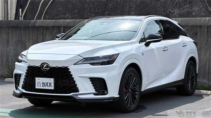 2025 Lexus RX
