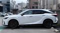 2025 Lexus RX