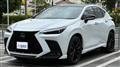 2025 Lexus NX