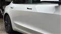 2021 Tesla Motors Others