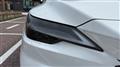 2025 Lexus RX