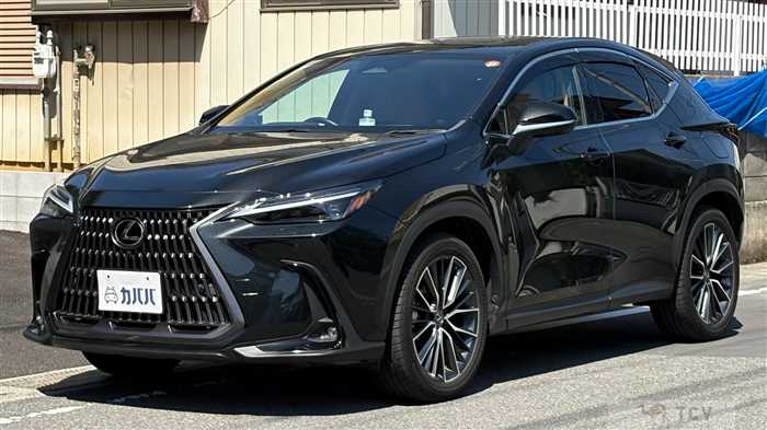 2023 Lexus NX