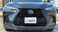 2025 Lexus NX