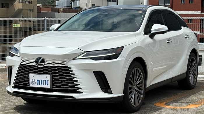 2024 Lexus RX