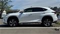 2019 Lexus NX