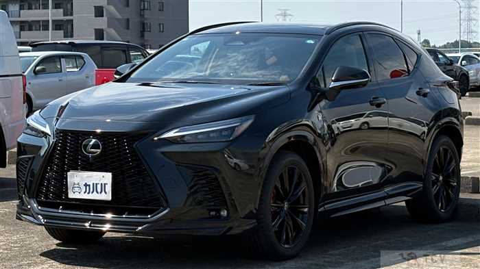 2025 Lexus NX