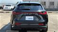 2025 Lexus NX