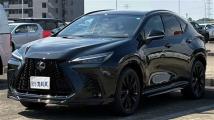 2025 Lexus NX
