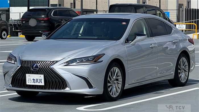 2019 Lexus ES