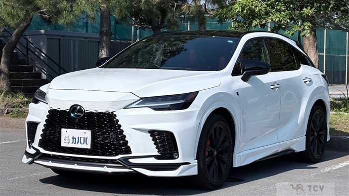 2024 Lexus RX