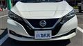 2018 Nissan Leaf