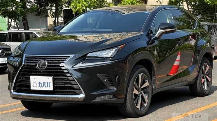 2018 Lexus NX