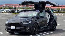 2017 Tesla Motors Others