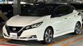 2019 Nissan Leaf