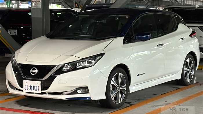 2019 Nissan Leaf