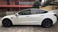2021 Tesla Motors Others