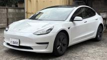 2021 Tesla Motors Others