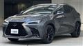 2025 Lexus NX