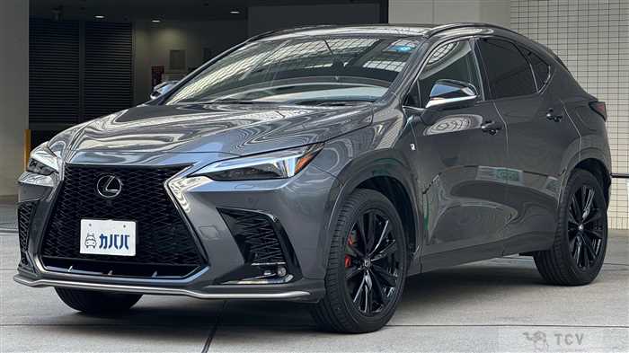 2025 Lexus NX