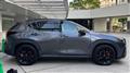 2025 Lexus NX