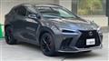 2025 Lexus NX