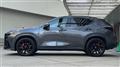 2025 Lexus NX