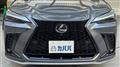 2025 Lexus NX