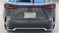 2025 Lexus NX