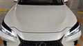 2025 Lexus NX