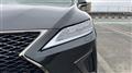 2022 Lexus RX