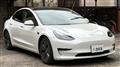 2021 Tesla Motors Others