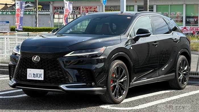 2024 Lexus RX