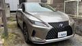 2022 Lexus RX