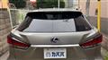 2022 Lexus RX