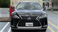 2019 Lexus RX