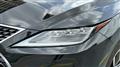 2019 Lexus RX