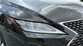 2019 Lexus RX