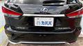 2019 Lexus RX