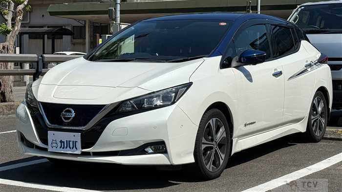 2018 Nissan Leaf