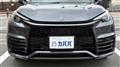 2025 Lexus Other