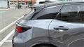 2025 Lexus Other