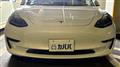 2021 Tesla Motors Others